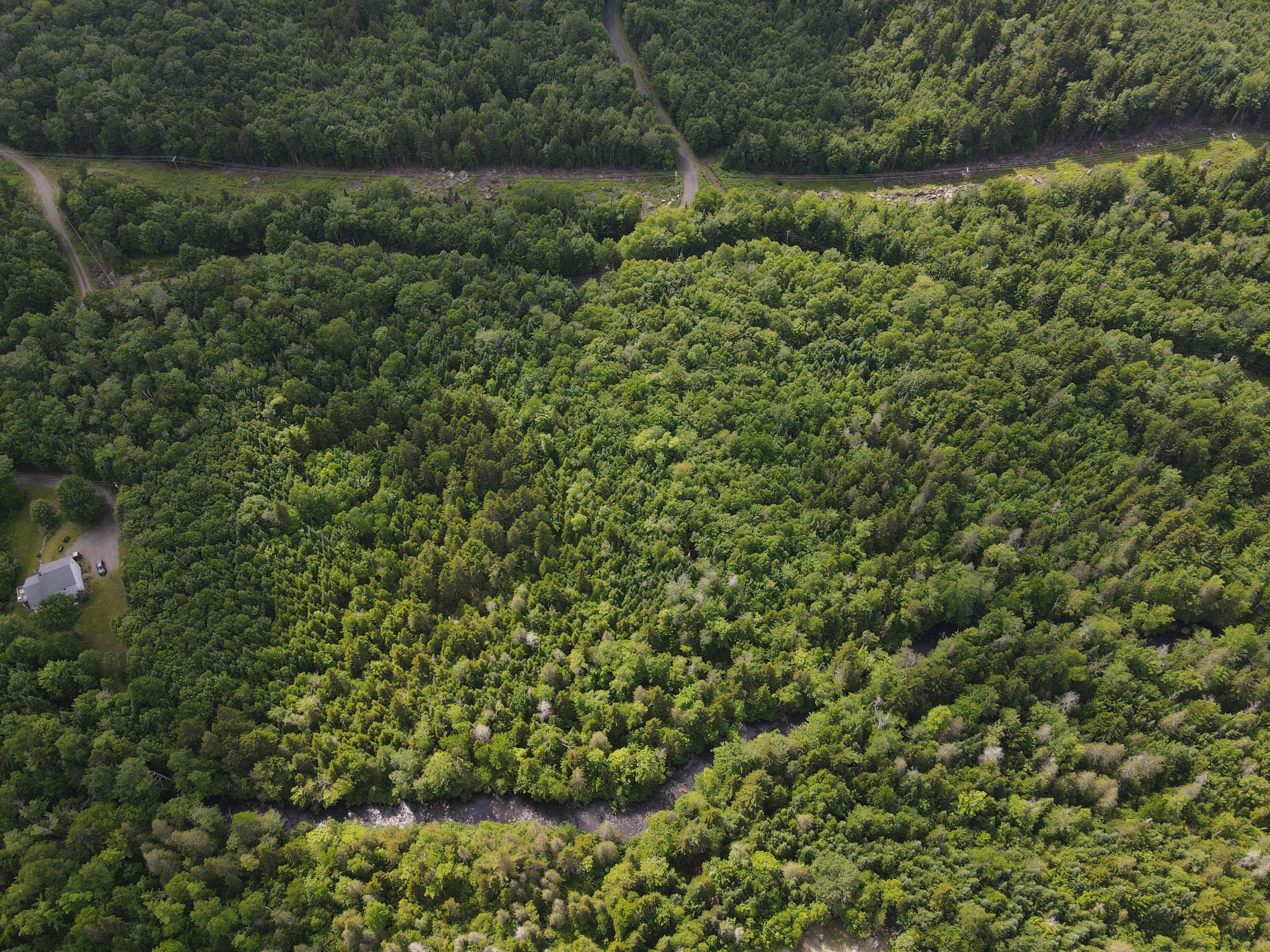 20 Beaver Mountain Road Sandy River Plt, ME 04970 - Photo 13 of 13 DJI_0145