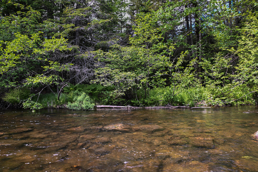 20 Beaver Mountain Road Sandy River Plt, ME 04970 - Photo 2 of 13 Miner Land on Beaver Mtn Rd