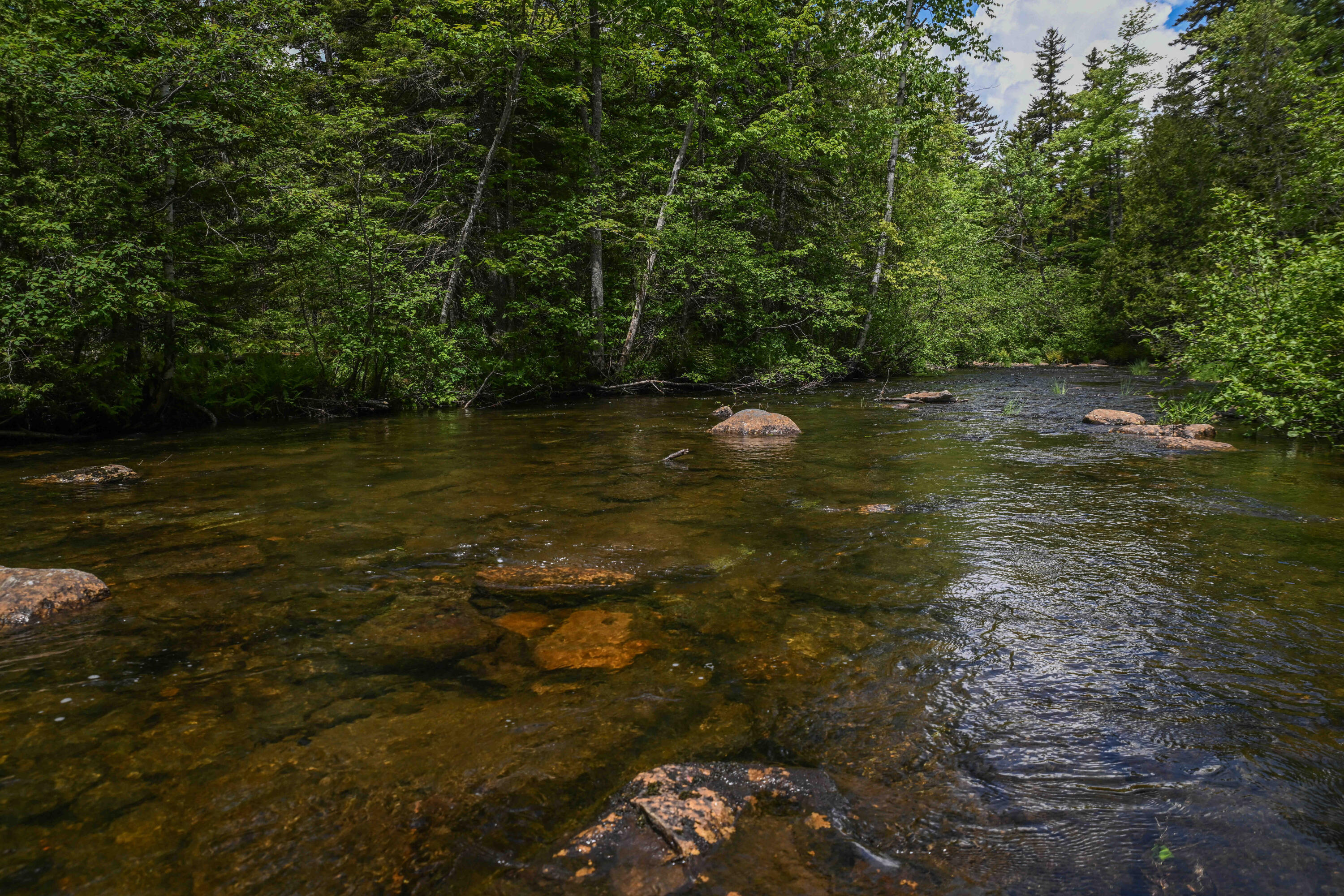 20 Beaver Mountain Road Sandy River Plt, ME 04970 - Photo 3 of 13 Miner Land on Beaver Mtn Rd -2