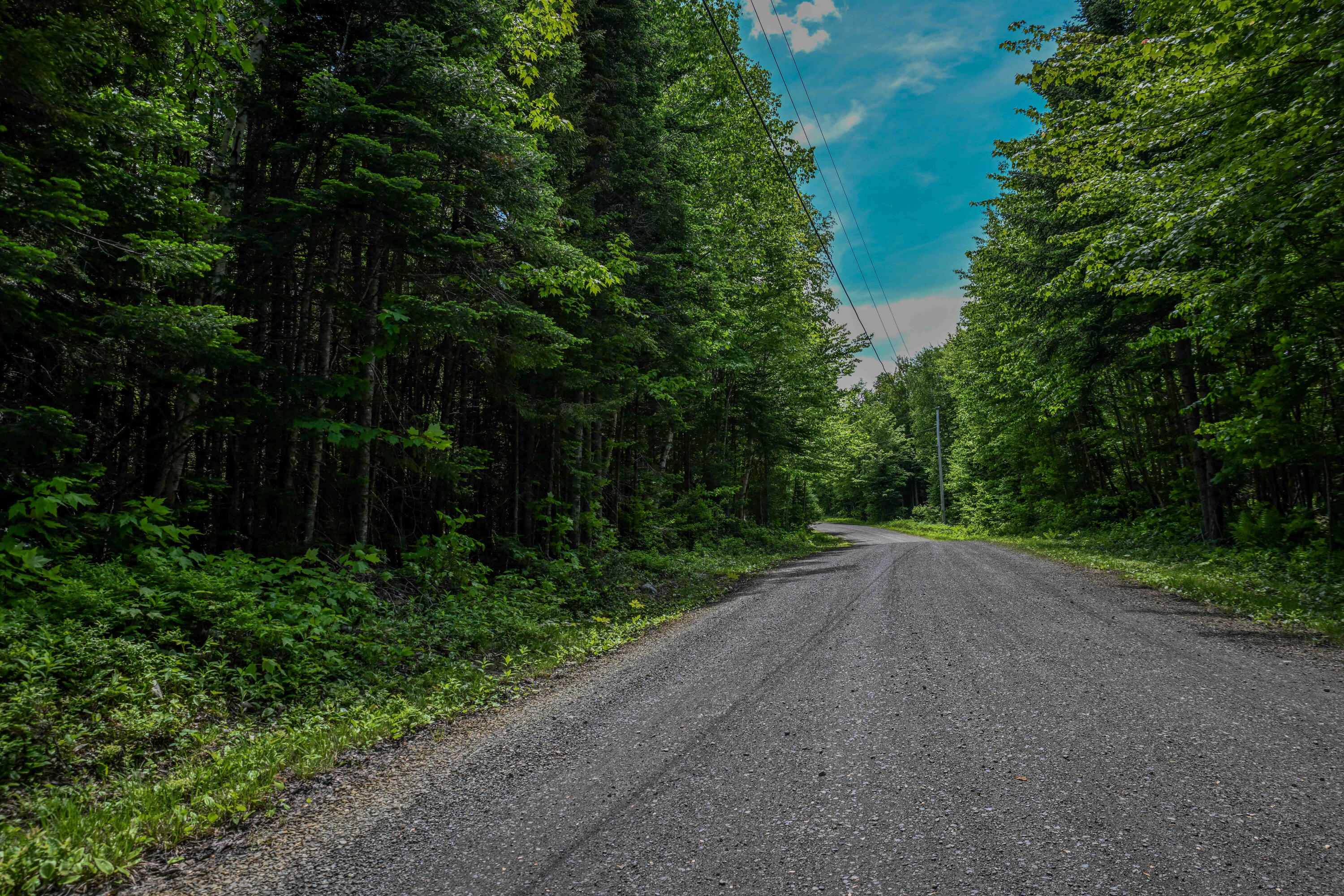 20 Beaver Mountain Road Sandy River Plt, ME 04970 - Photo 4 of 13 Miner Land on Beaver Mtn Rd -6