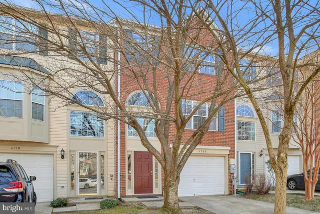 a tree in the house with a trees