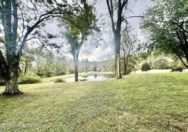 a view of a yard with a tree