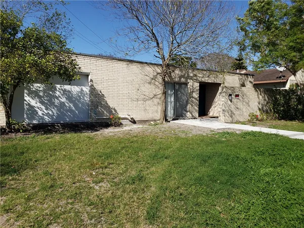 a view of a garden with large trees