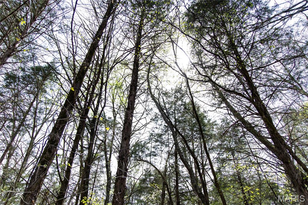 Lot 1 East Short Road Blackwell, MO 63626 - Photo 15 of 20