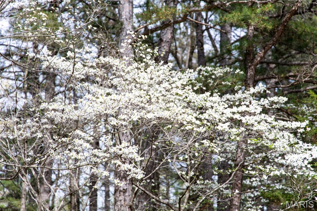 Lot 1 East Short Road Blackwell, MO 63626 - Photo 16 of 20