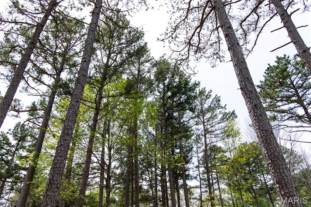 Lot 1 East Short Road Blackwell, MO 63626 - Photo 17 of 20