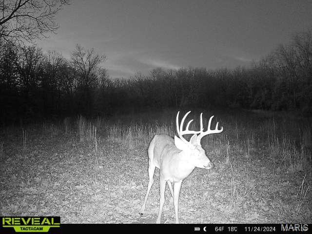 Lot 1 East Short Road Blackwell, MO 63626 - Photo 19 of 20