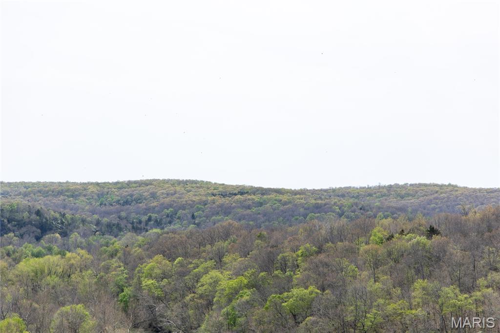 Lot 1 East Short Road Blackwell, MO 63626 - Photo 3 of 20