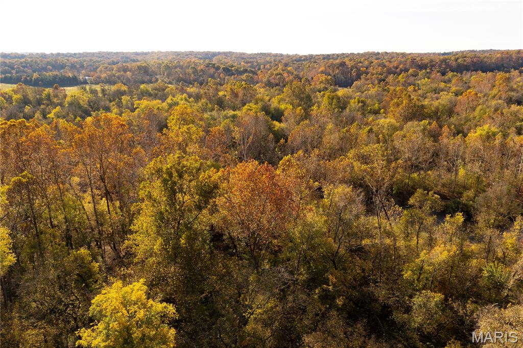 Lot 1 East Short Road Blackwell, MO 63626 - Photo 4 of 20