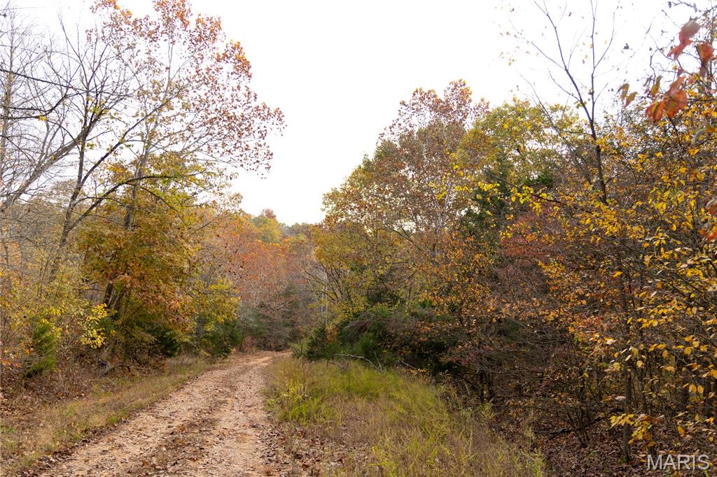 Lot 1 East Short Road Blackwell, MO 63626 - Photo 7 of 20