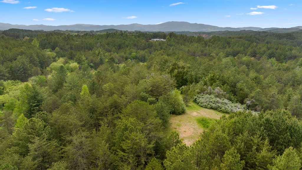 255 Golf Course Road Copperhill, TN 37317 - Photo 11 of 41 Cleared Home Site