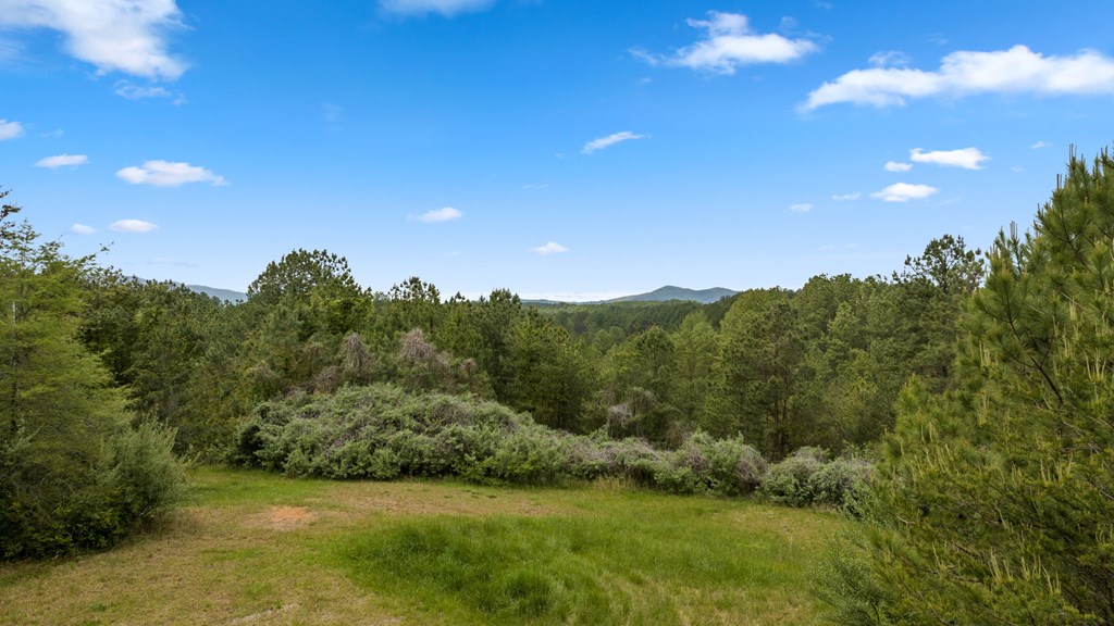 255 Golf Course Road Copperhill, TN 37317 - Photo 12 of 41 Cleared Home Site