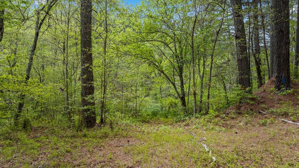 255 Golf Course Road Copperhill, TN 37317 - Photo 13 of 41