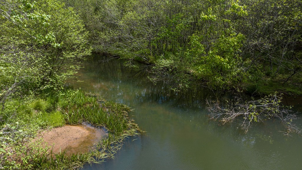 255 Golf Course Road Copperhill, TN 37317 - Photo 15 of 41 North Potato Creek