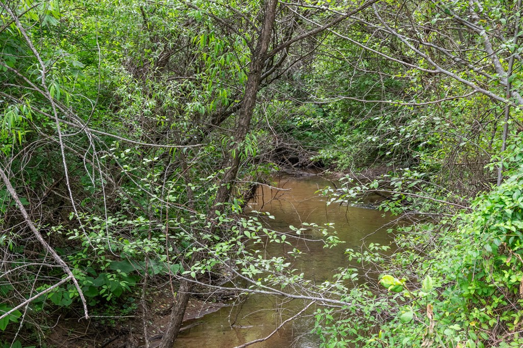 255 Golf Course Road Copperhill, TN 37317 - Photo 16 of 41 North Potato Creek