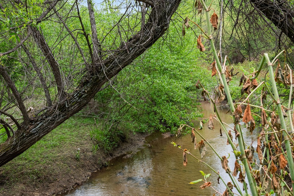 255 Golf Course Road Copperhill, TN 37317 - Photo 17 of 41 North Potato Creek
