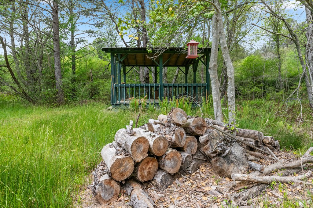 255 Golf Course Road Copperhill, TN 37317 - Photo 18 of 41 Pavilion