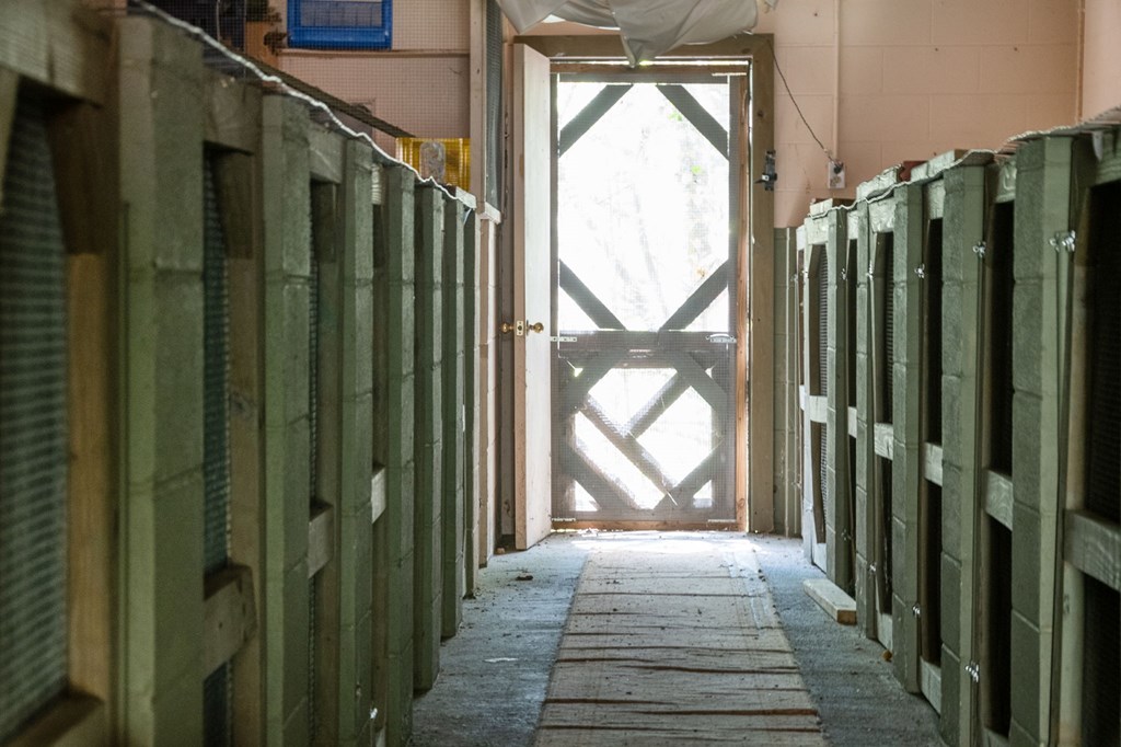 255 Golf Course Road Copperhill, TN 37317 - Photo 36 of 41 Animal Sanctuary