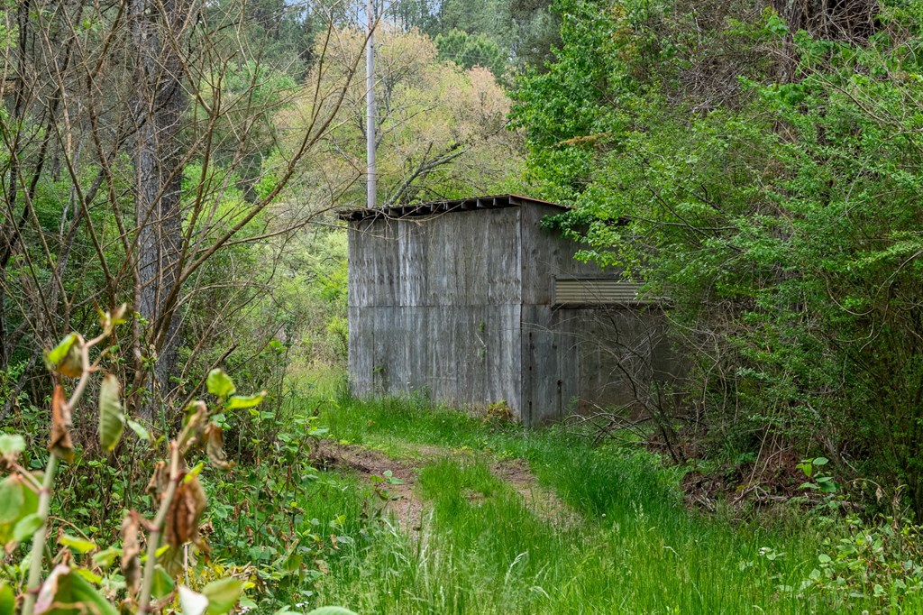 255 Golf Course Road Copperhill, TN 37317 - Photo 38 of 41 Shed