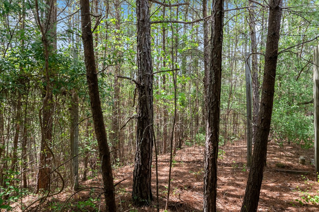 255 Golf Course Road Copperhill, TN 37317 - Photo 40 of 41