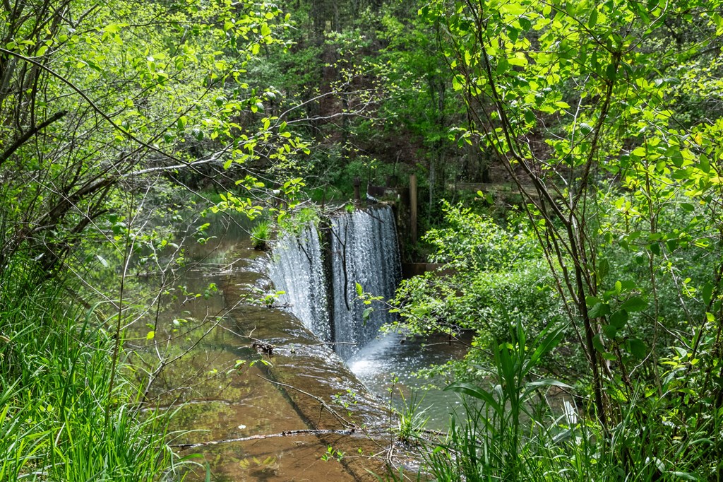 255 Golf Course Road Copperhill, TN 37317 - Photo 4 of 41