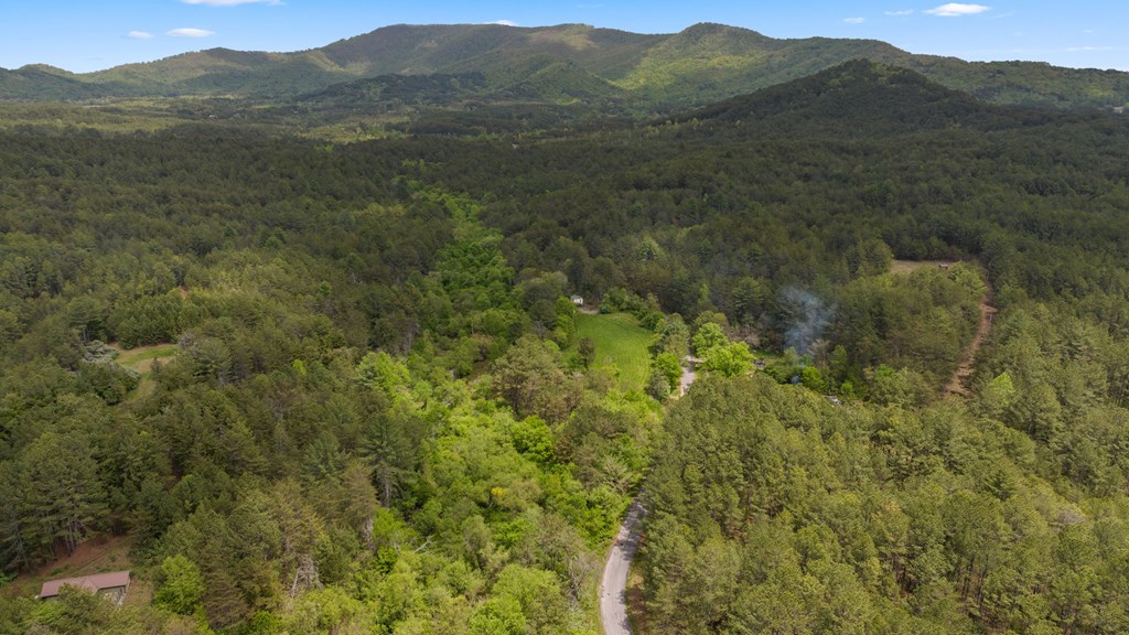 255 Golf Course Road Copperhill, TN 37317 - Photo 7 of 41