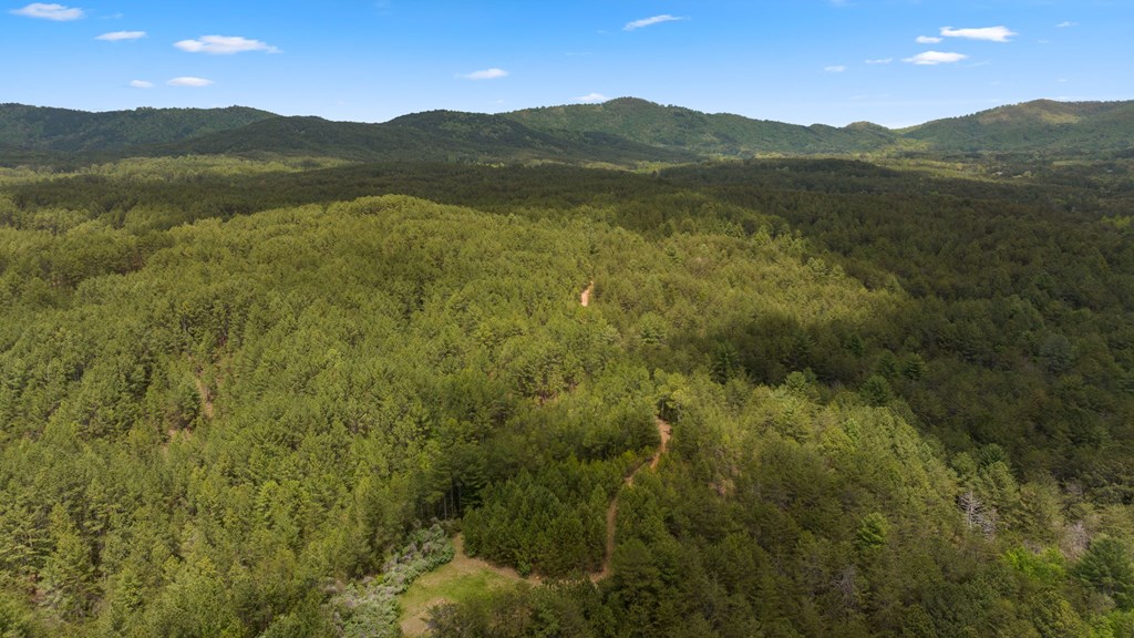 255 Golf Course Road Copperhill, TN 37317 - Photo 8 of 41