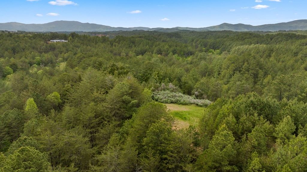 255 Golf Course Road Copperhill, TN 37317 - Photo 9 of 41