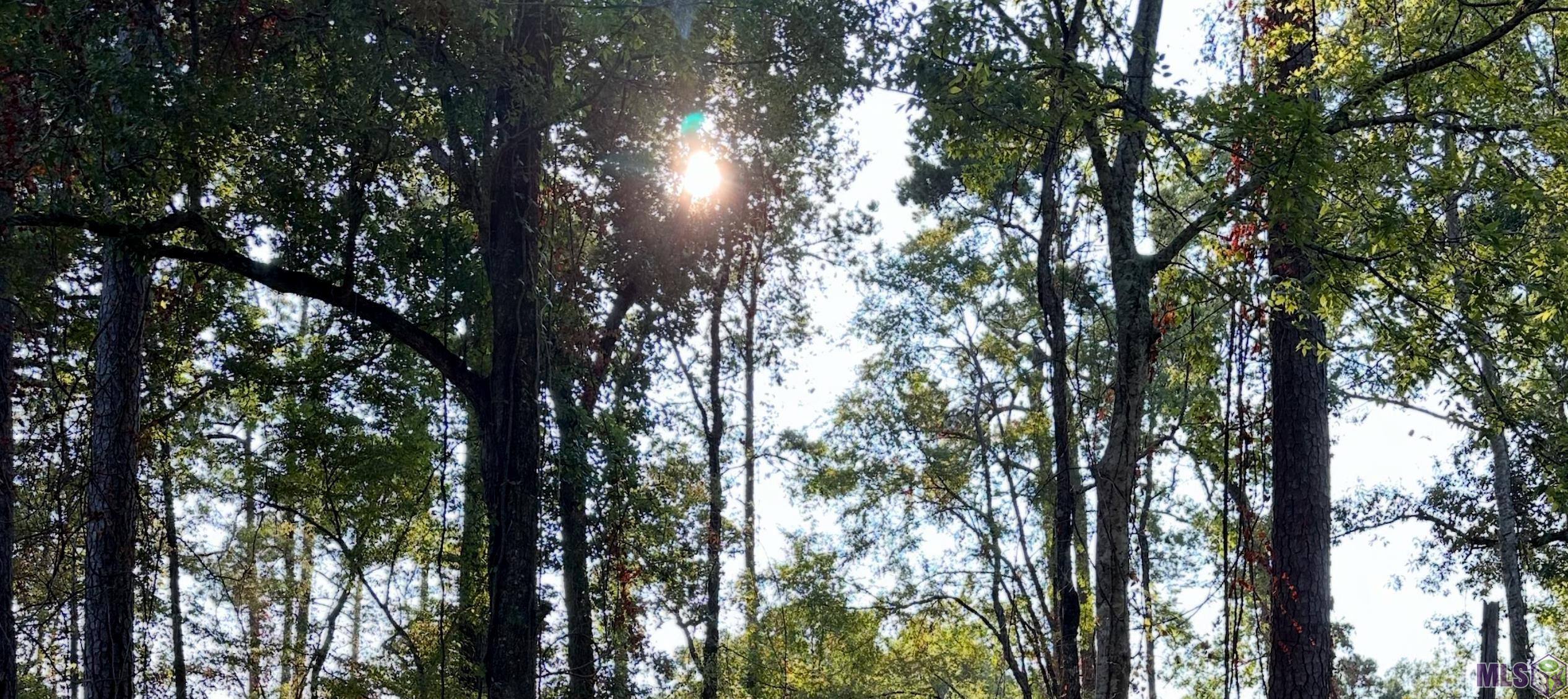 0 Koepp Road Madisonville, LA 70447 - Photo 3 of 10