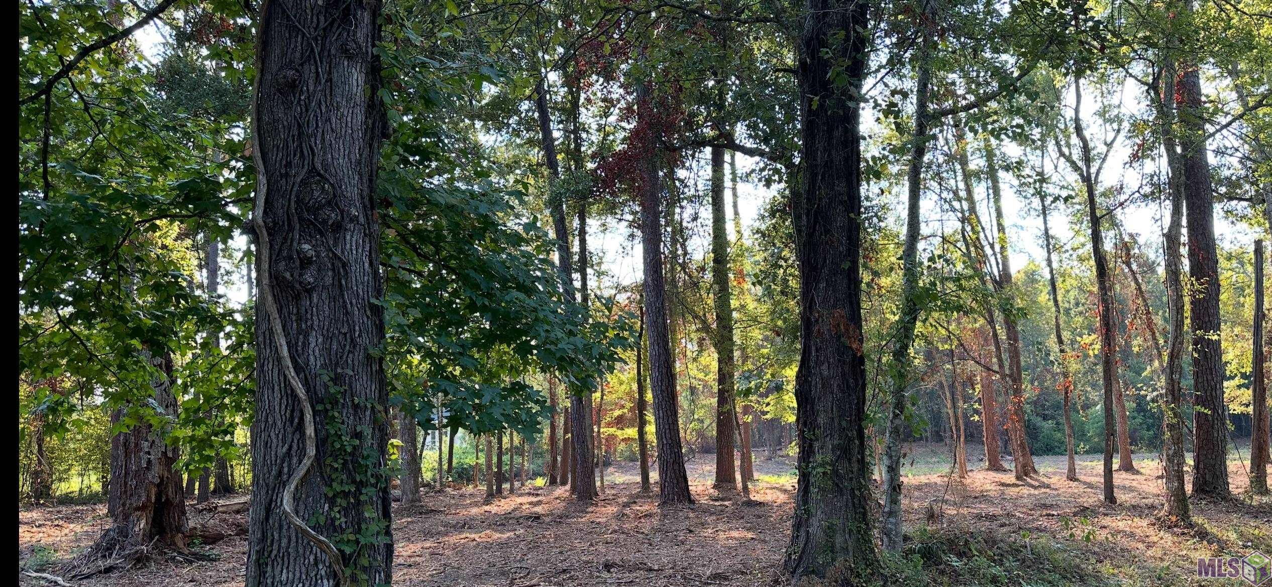 0 Koepp Road Madisonville, LA 70447 - Photo 5 of 10