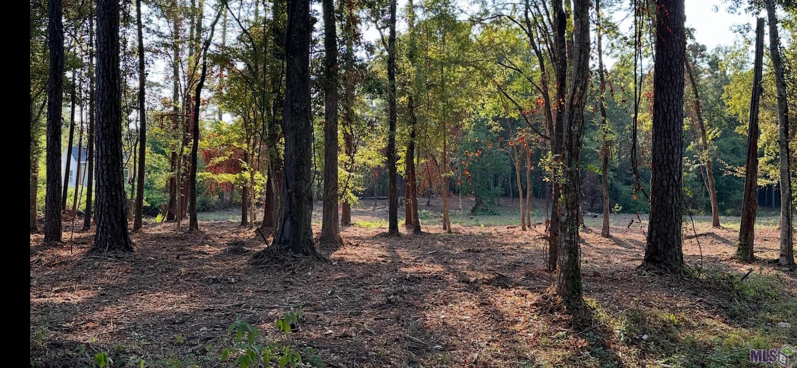 0 Koepp Road Madisonville, LA 70447 - Photo 6 of 10