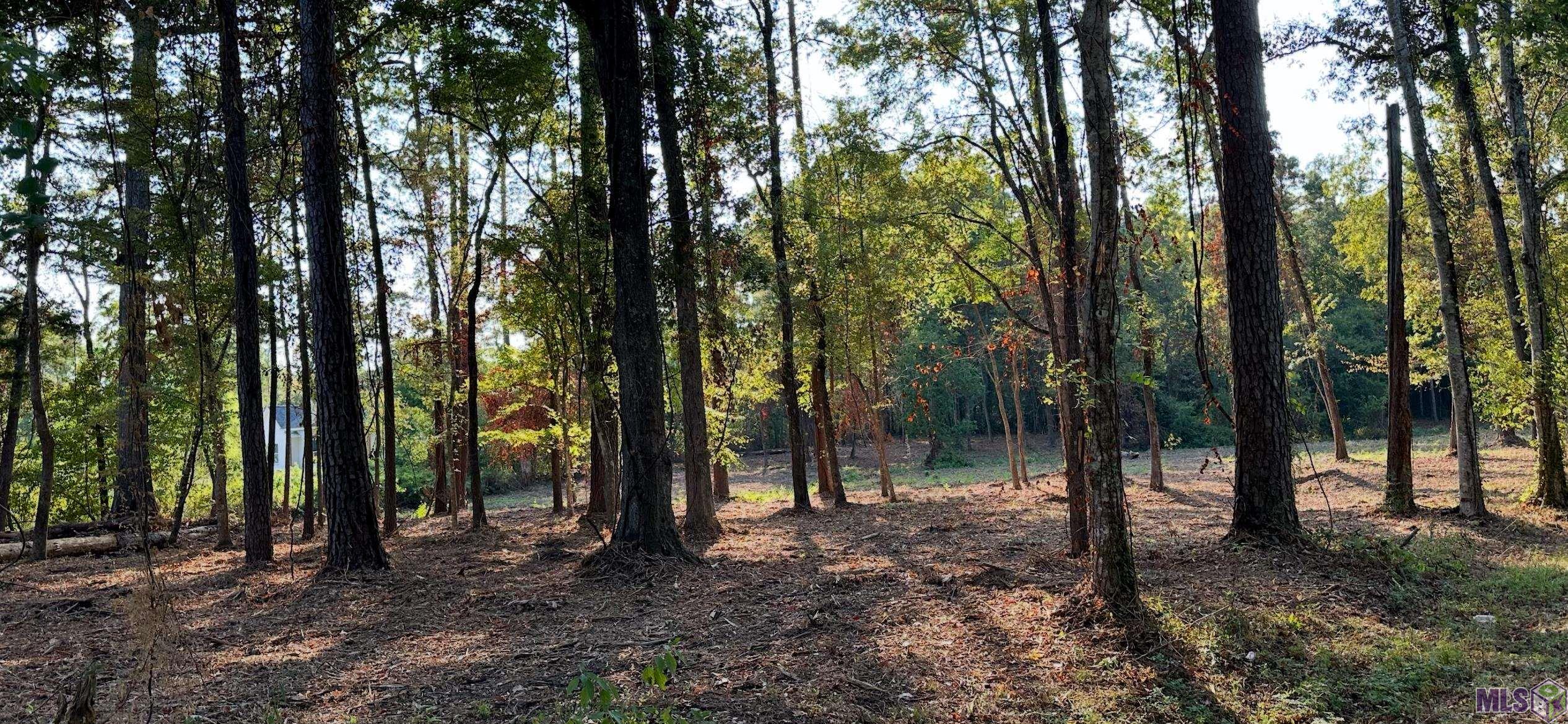 0 Koepp Road Madisonville, LA 70447 - Photo 7 of 10