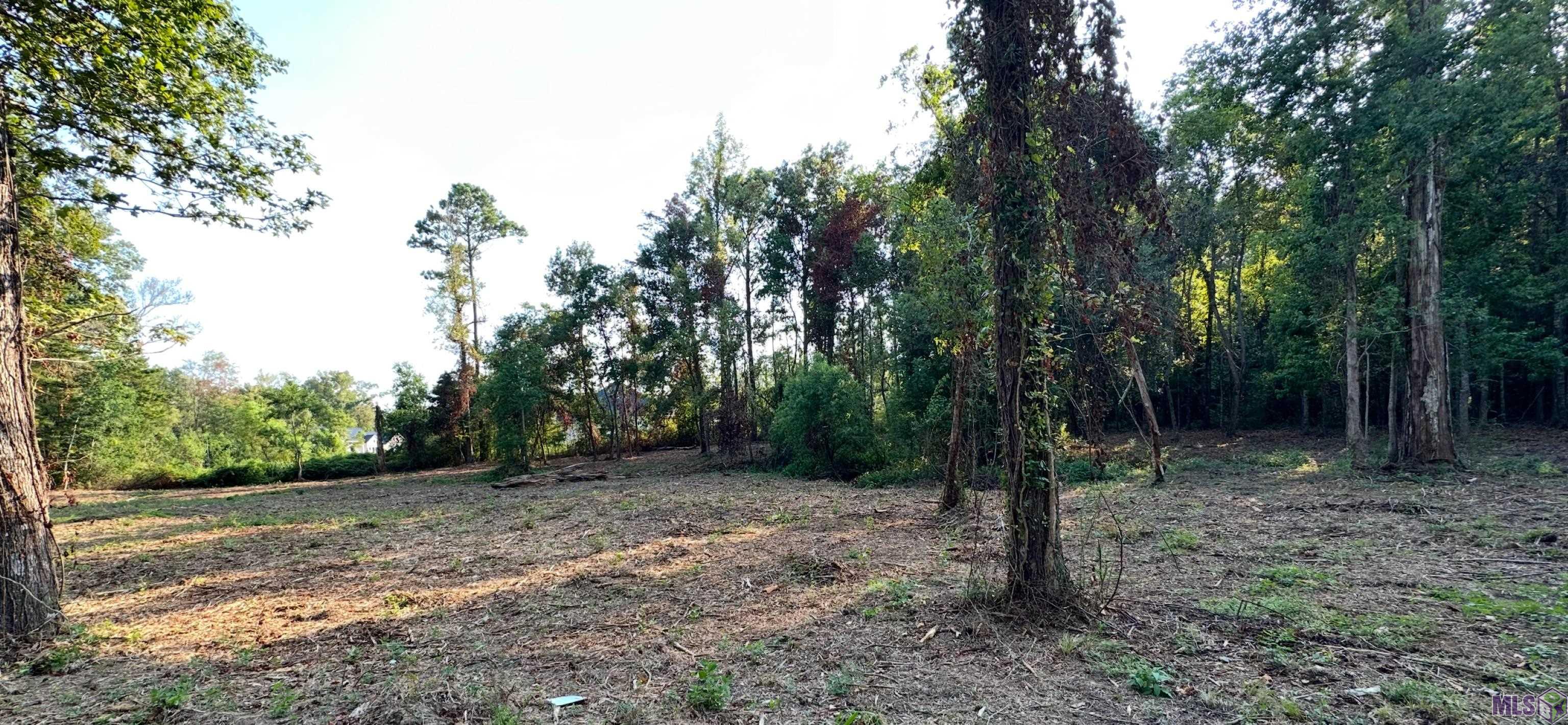 0 Koepp Road Madisonville, LA 70447 - Photo 8 of 10