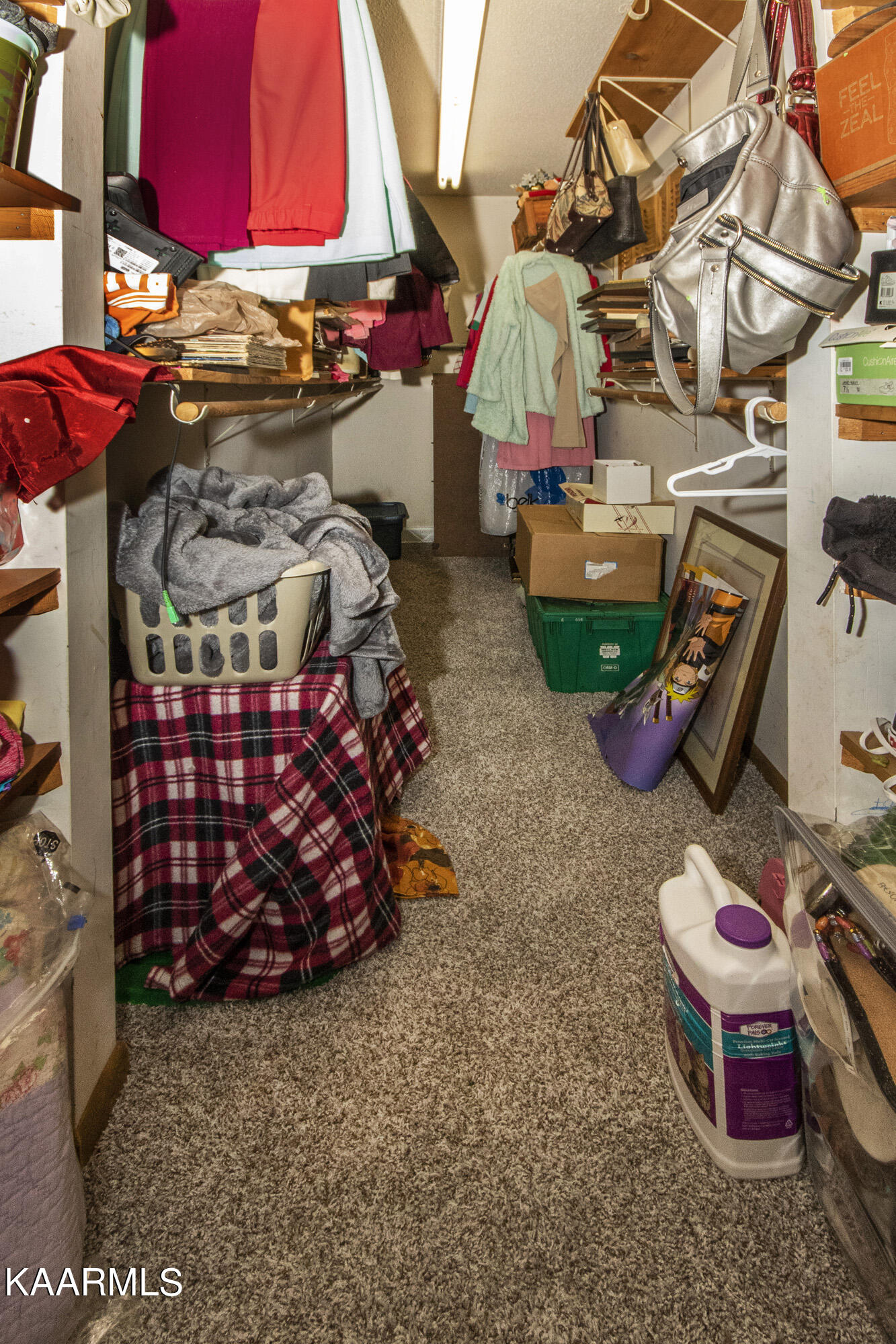 4356 McCloud Road Knoxville, TN 37938 - Photo 17 of 25 A7D89265-B3B1-46E8-BEE6-09E6C9D97C6A