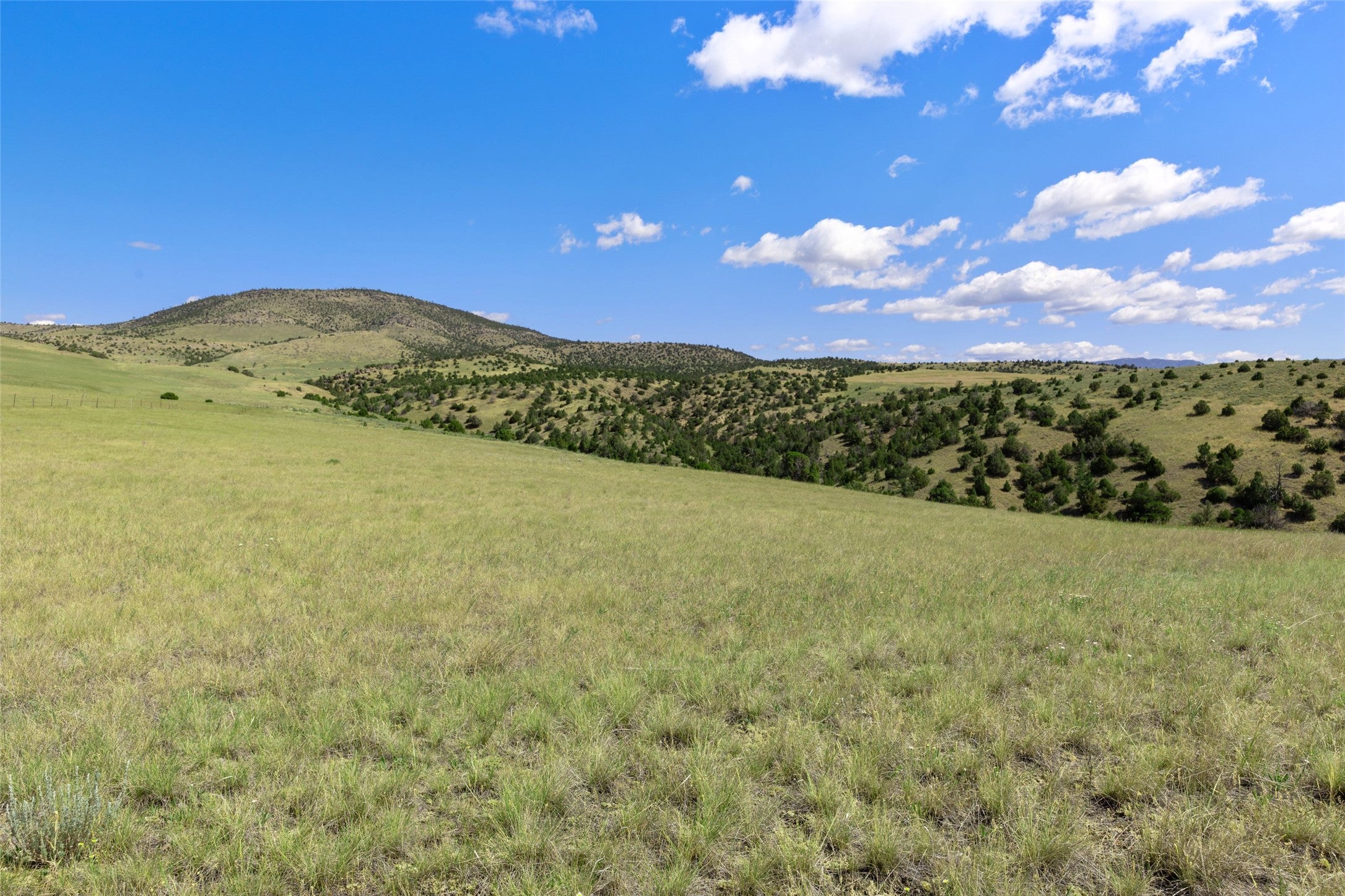5835 Spaulding Bridge Road Belgrade, MT 59714 - Photo 78 of 100 Gallery Image 78