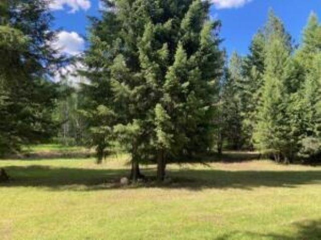 3641 Hill Loop Road Kettle Falls, WA 99141 - Photo 49 of 50