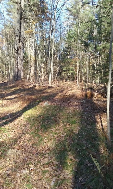 Lot 1 Montague Road Leverett, MA 01054 - Photo 7 of 11 Gallery Image 7
