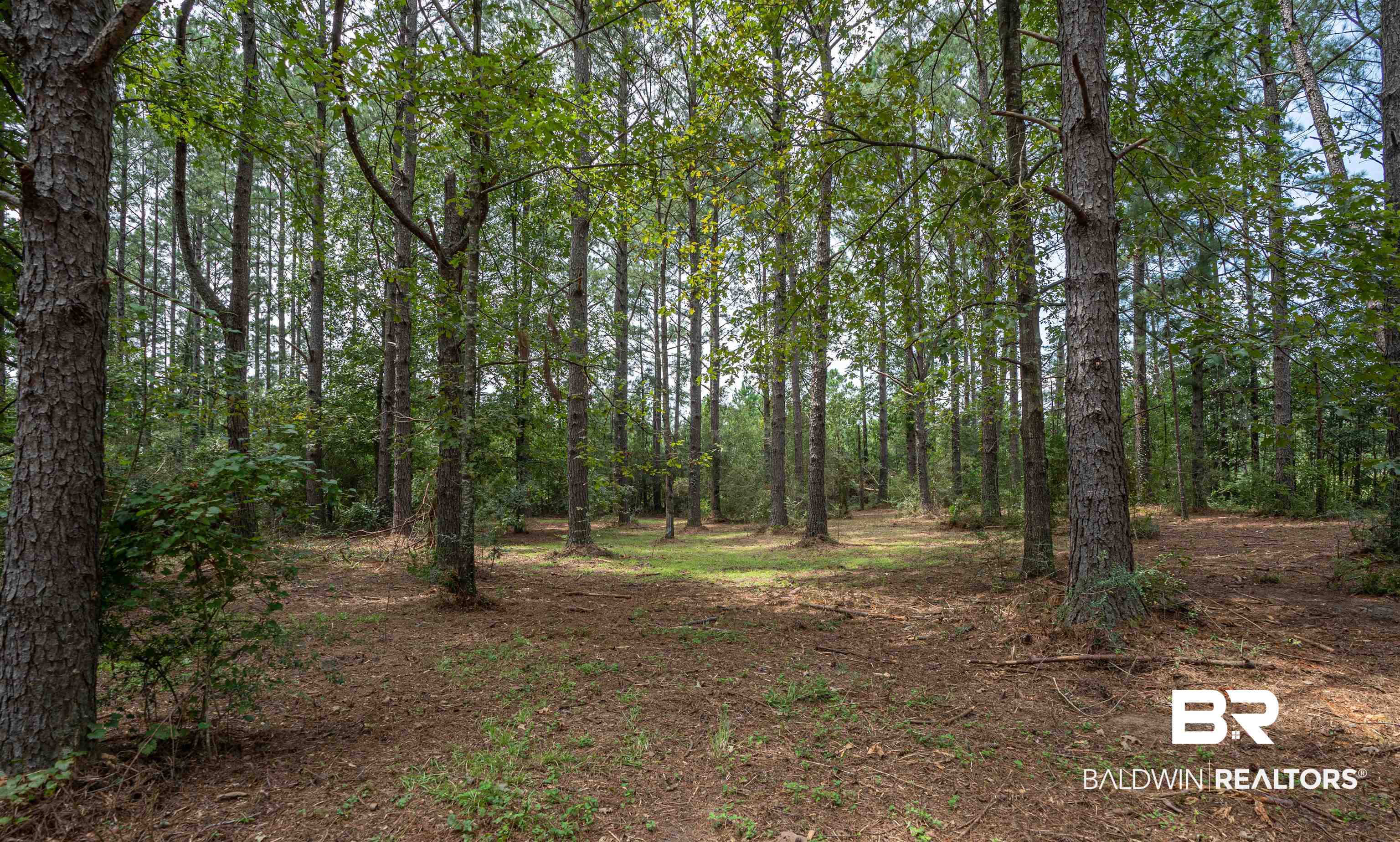23439 Patterson Road Robertsdale, AL 36567 - Photo 5 of 17