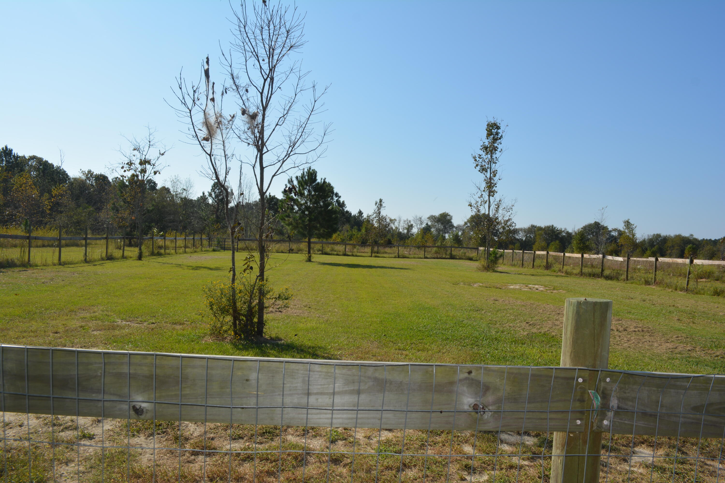 1508 Old Shoals Road Monetta, SC 29105 - Photo 55 of 63