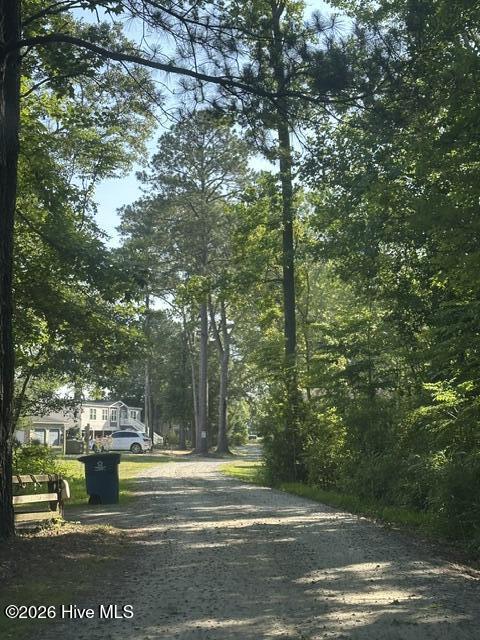 57 Newberry Landing Roper, NC 27970 - Photo 5 of 6 Newberry Ln - waterfront left - extra on right