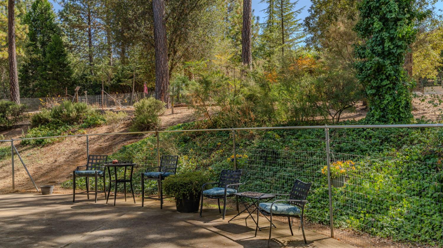 17000 Shake Ridge Road Sutter Creek, CA 95685 - Photo 53 of 61 Gallery Image 53