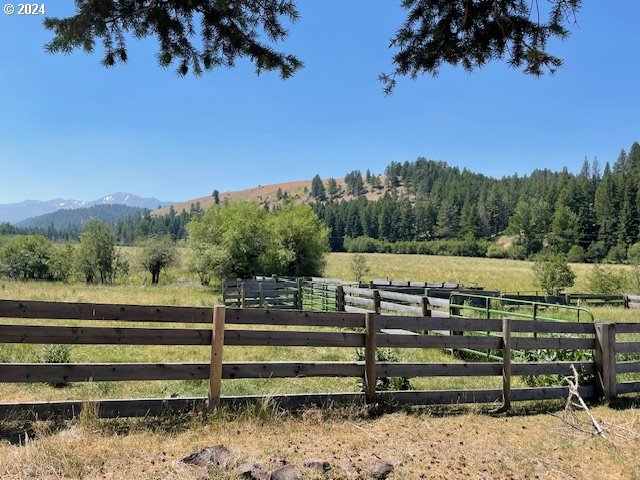62254 Wallowa Mtn Loop Road Joseph, OR 97846 - Photo 12 of 35 a view of a park with large trees