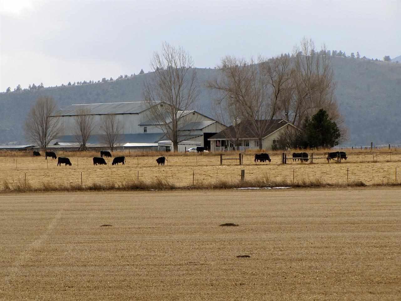 332 Burgdorf Road Bonanza, OR 97623 - Photo 1 of 1 Primary Photo