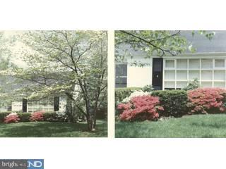 7809 Cobden Road Glenside, PA 19038 - Photo 2 of 5