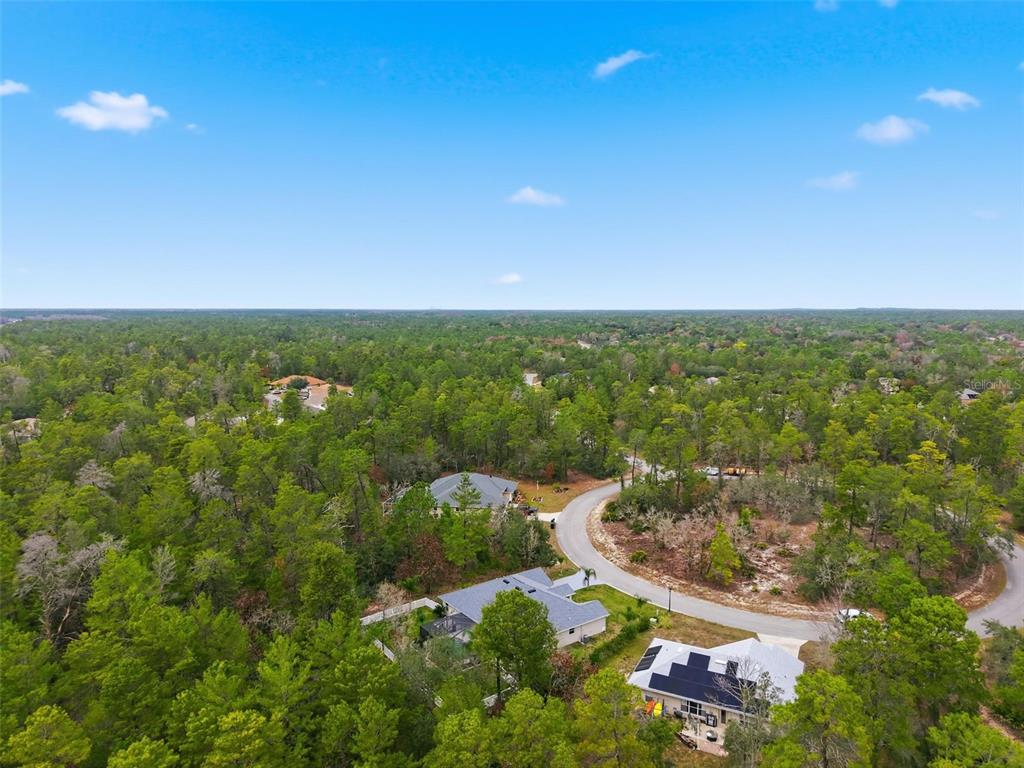 26 Statice Court Homosassa, FL 34446 - Photo 64 of 70 an aerial view of residential houses with outdoor space and trees