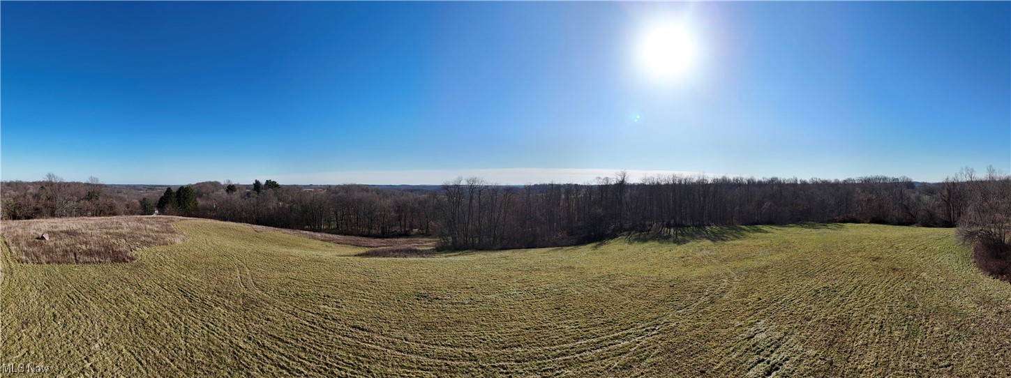 Steubenville Road Carrollton, OH 44615 - Photo 3 of 10 View of local wilderness with a rural view