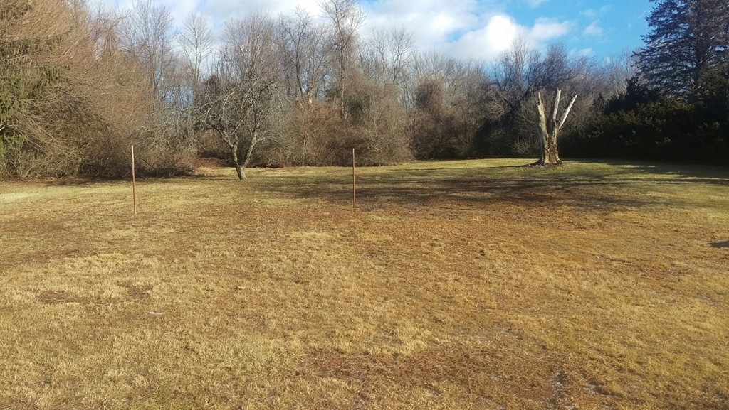 339 Abbe Road Enfield, CT 06082 - Photo 14 of 14 a view of outdoor space with trees