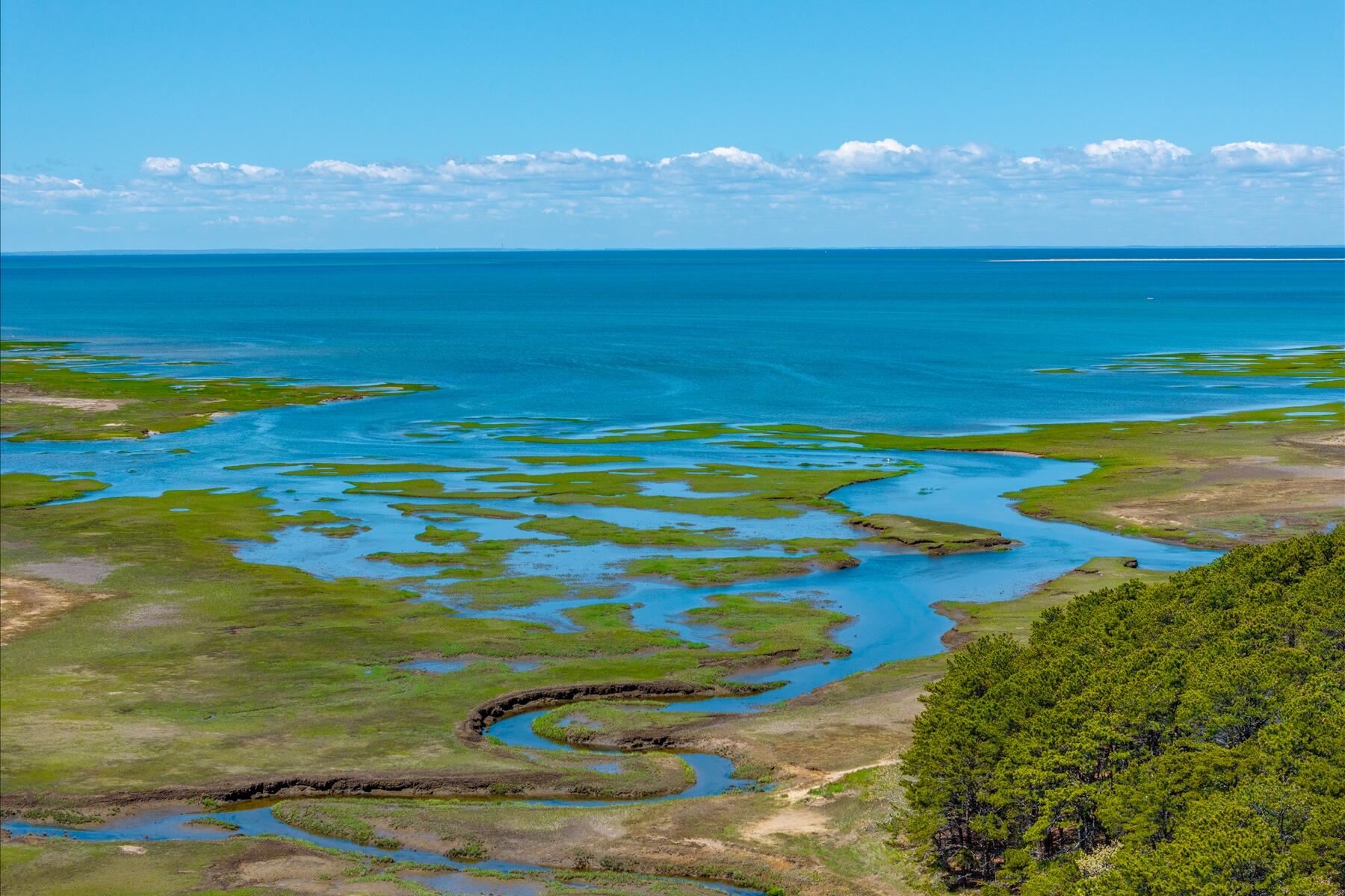 260 Blue Heron Road Wellfleet, MA 02667 - Photo 59 of 63 086-260 Blue Heron Rd-11