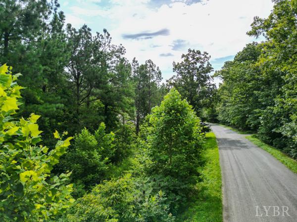 0 Red Oak School Road Rustburg, VA 24588 - Photo 12 of 32 Gallery Image 12