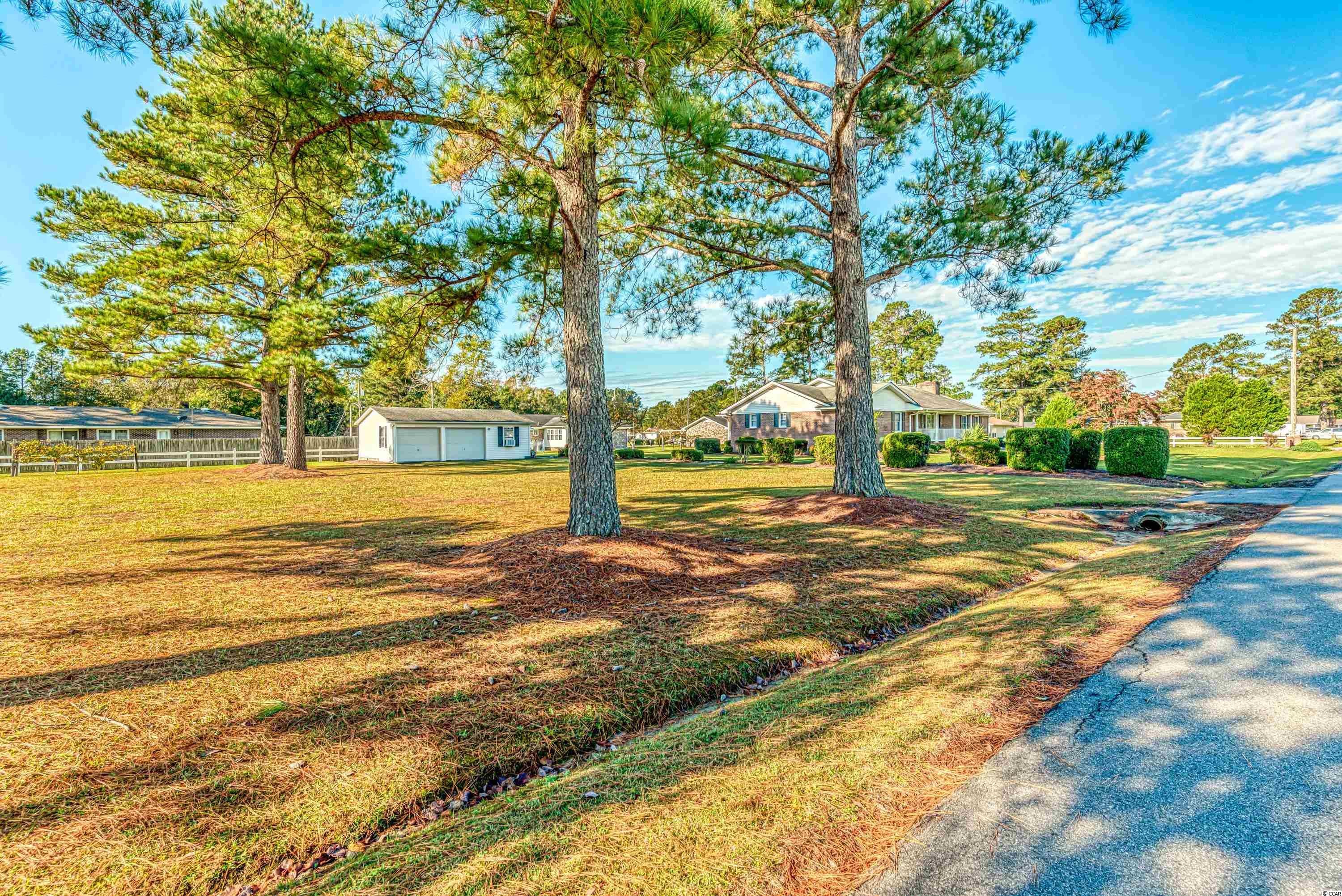 4630 Willow Street Loris, SC 29569 - Photo 25 of 27